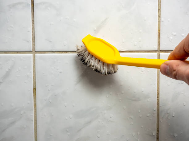 Best Residential Mold Removal  in Arbutus, MD